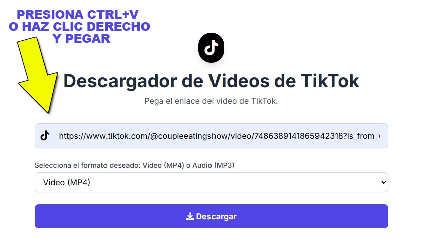Pega el enlace en el descargador de tiktok